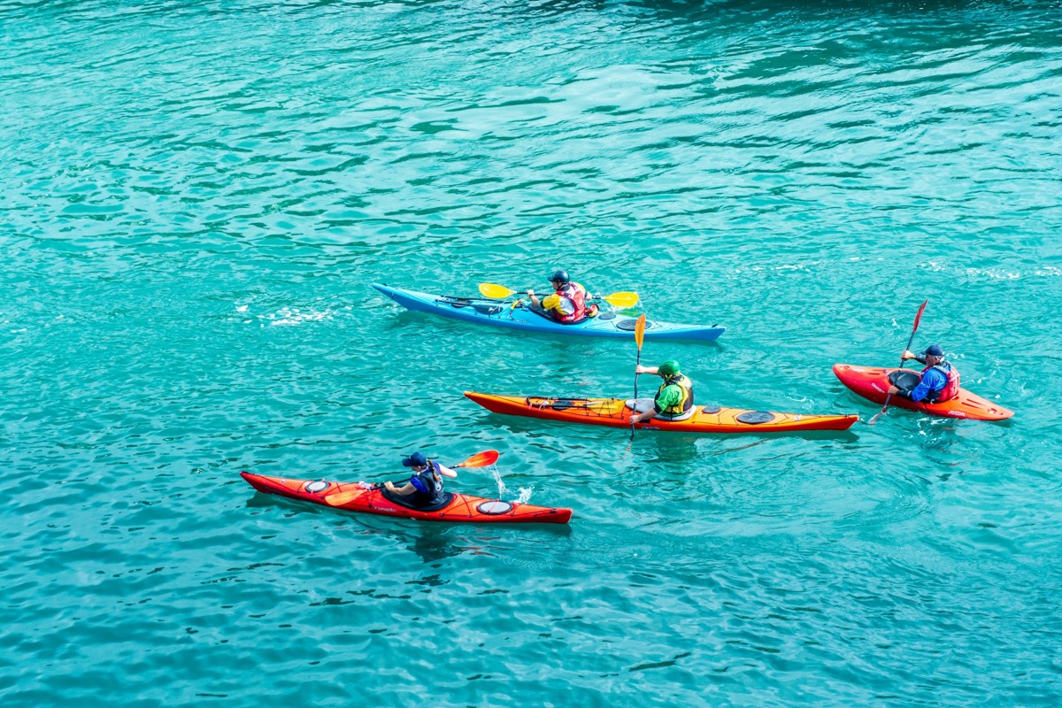 Rent a kayak in Key Largo